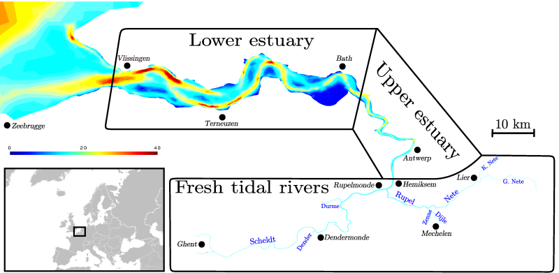 The Scheldt estuary