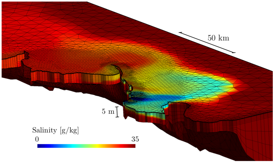 Burdekin mesh